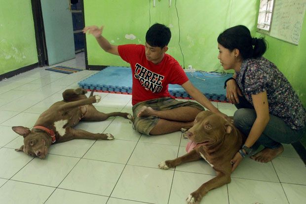 Terapi Anak Berkebutuhan...