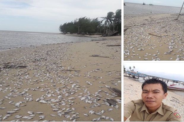 Harga Garam Mahal, Bete-bete...