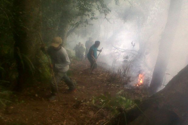 Hutan di Kaki Gunung...
