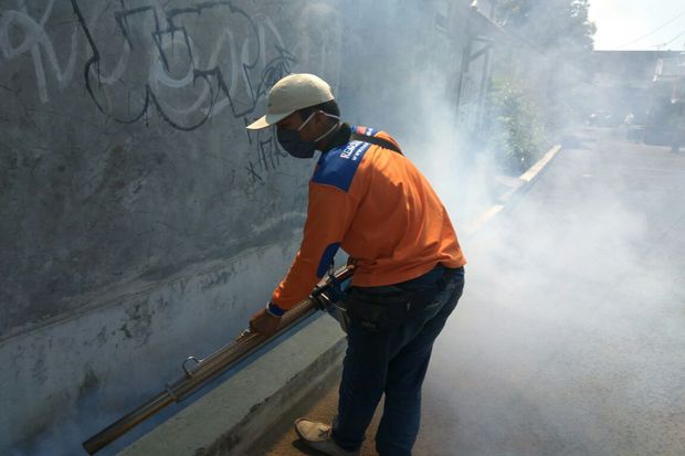 Rescue Perindo Fogging...
