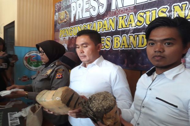Pengedar Narkoba Jaringan...