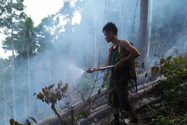 Empat Hektare Lahan...