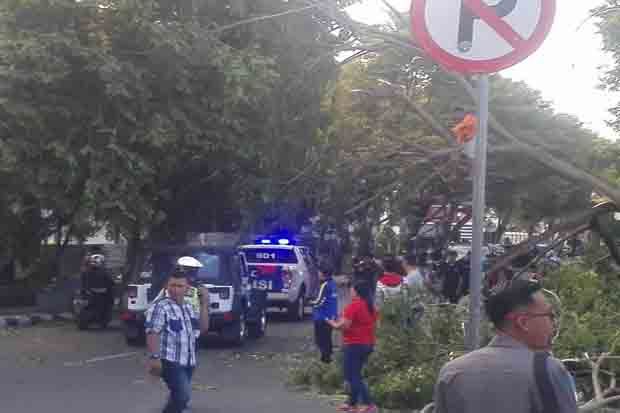 Angin Kencang Tumbangkan...