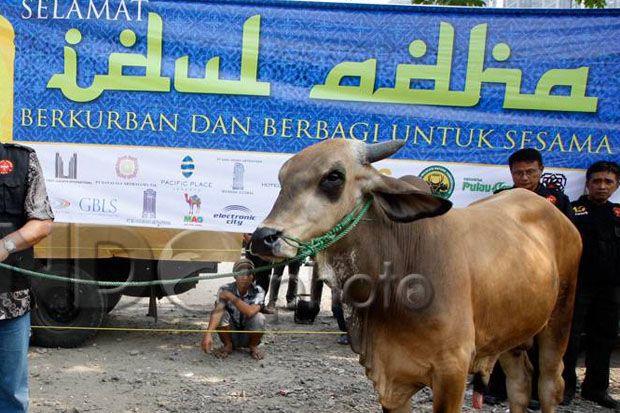 Idul Adha Momentum Tingkatkan...
