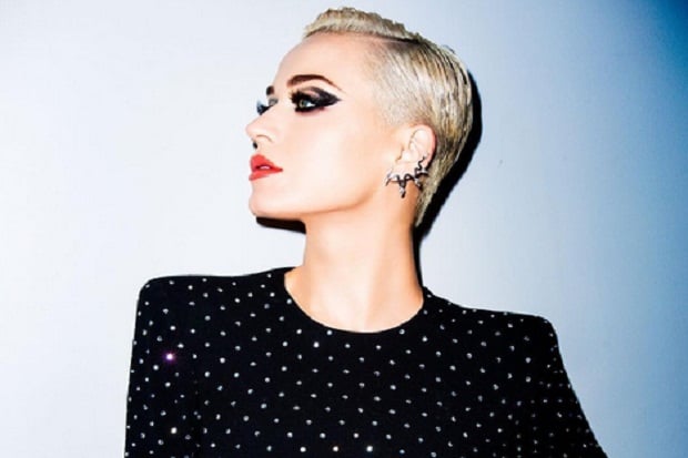 Katy Perry Digugat Stagehand