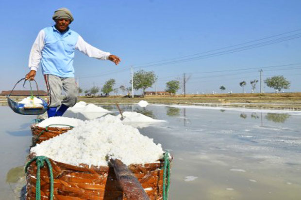 KPPU Investigate Salt...
