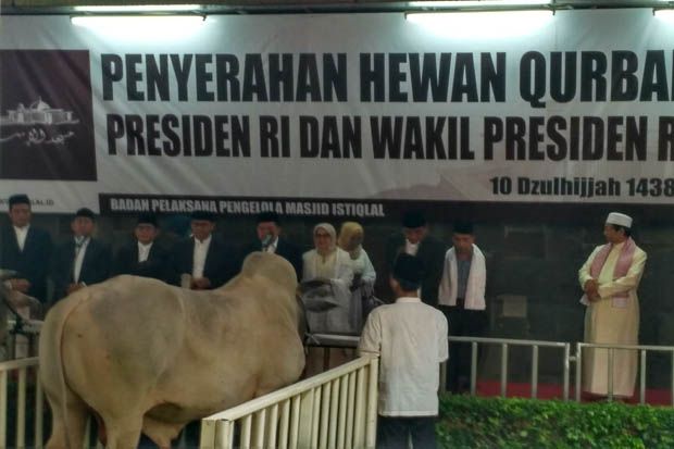 JK Serahkan Hewan Kurban...