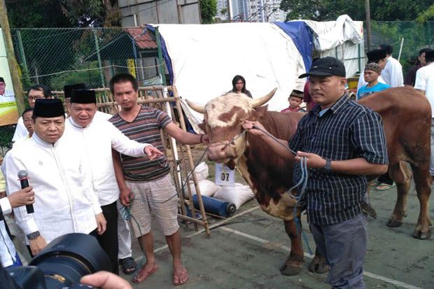 Hari Raya Idul Adha...
