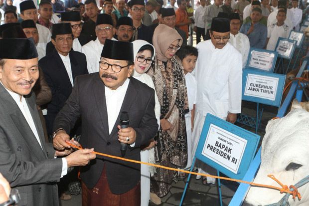 Soekarwo Kurban Sapi...