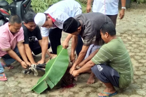 DPD Perindo Muaro Jambi...