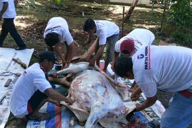 Dengan Kurban, Partai...