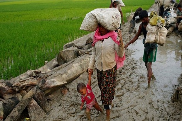 Rohingya Ditindas, Pelapor...