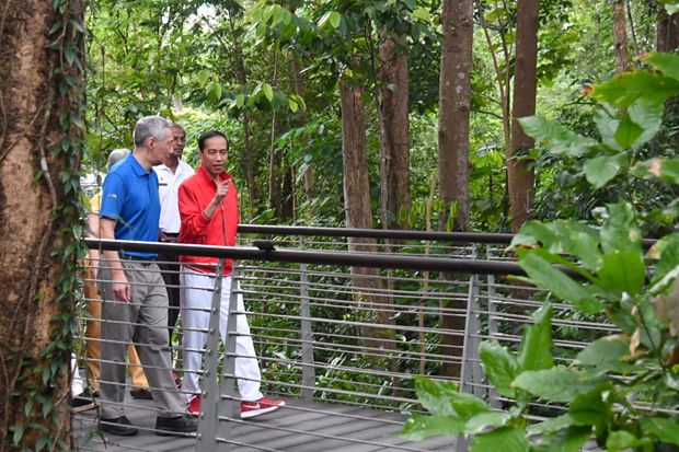 Gaya Santai Jokowi dan...