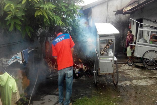 Cegah DBD, Rescue Perindo...