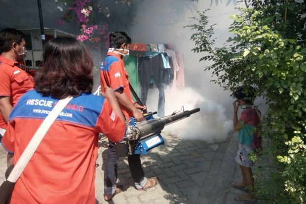 Perang Lawan DBD, Rescue...