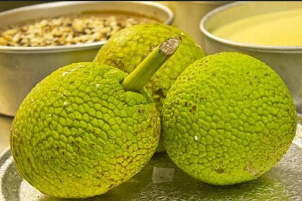 Mengolah Sukun Menjadi...