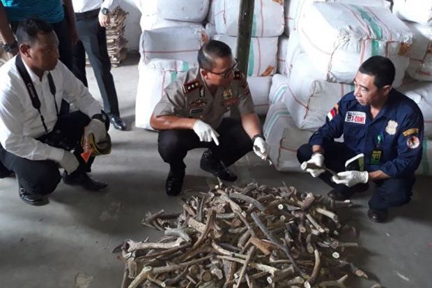 Gudang Satwa dan Tanaman...