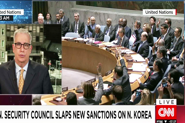 UN Security Council...