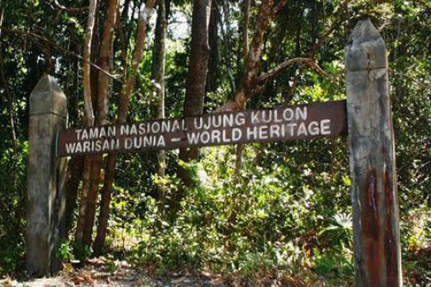 Pastikan Harimau Jawa...