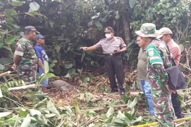Nahas, Seorang Penebang...