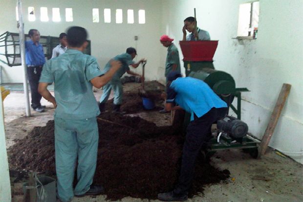 Green Waste, Konsep...