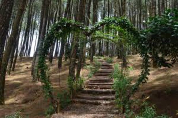 Target 800.000 Wisatawan...