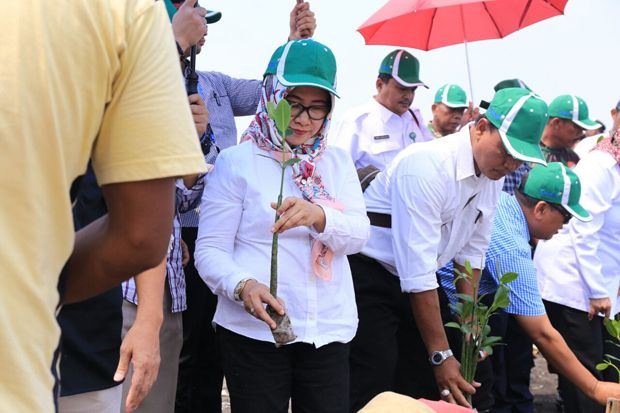 PT AP II Tanam 4.000...