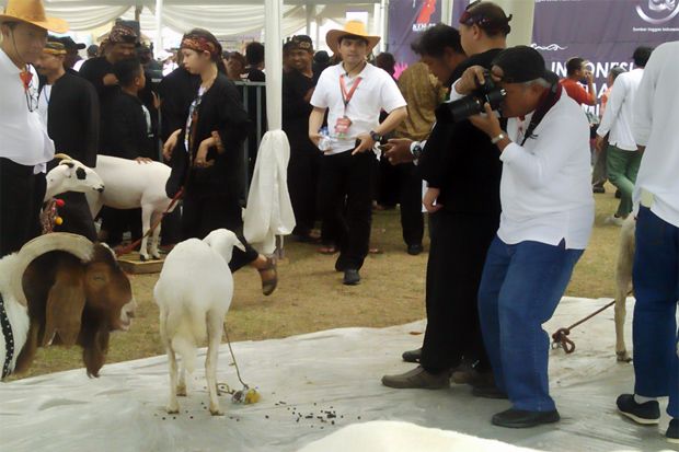 Anak Buah Jokowi, Basuki...
