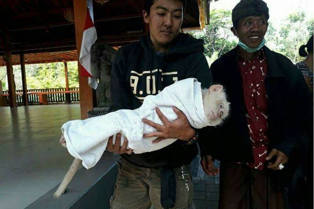 Pertanda Alam, Kera...