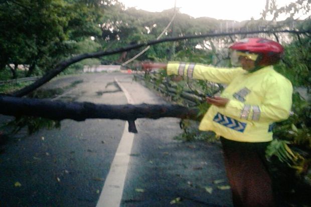 Diterjang Angin Kencang,...
