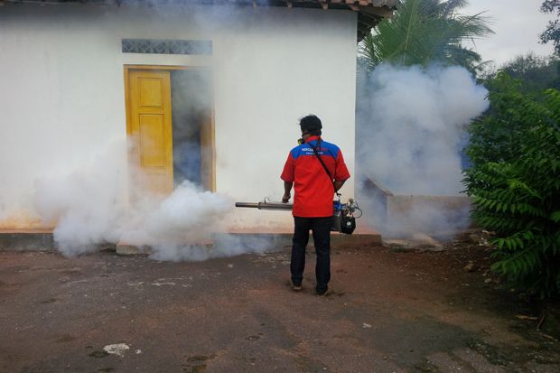 Seorang Warga Kena DBD,...