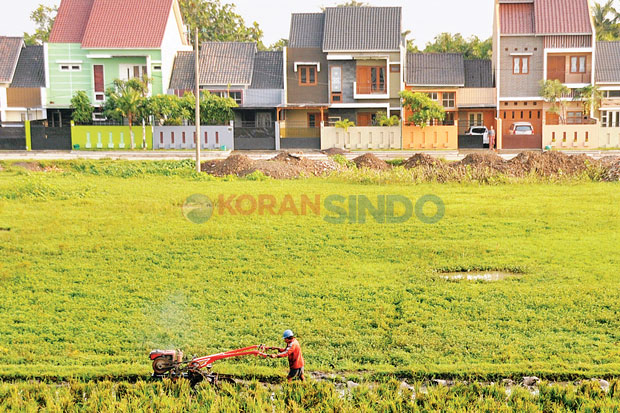 Daya Beli Petani Naik
