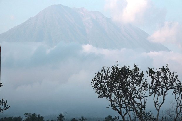 Belum Berani Pulang,...
