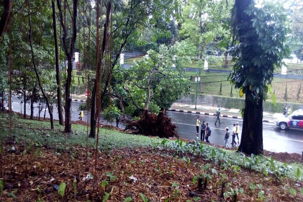 Bogor Memasuki Musim...