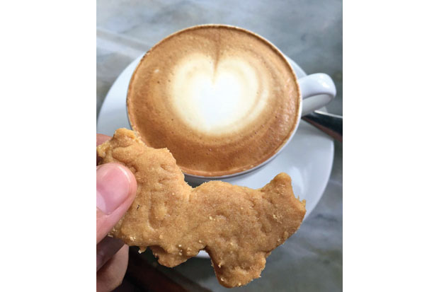 Ingin Ngopi Ala Zaman...