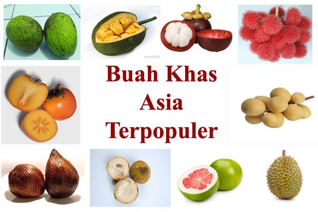 Buah Khas Negara-Negara...