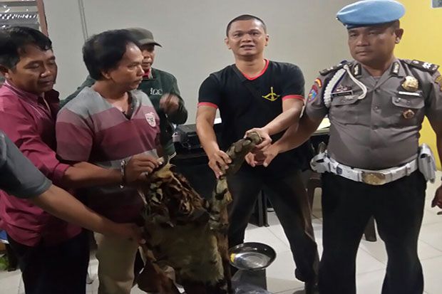 Hendak Jual Kulit dan...