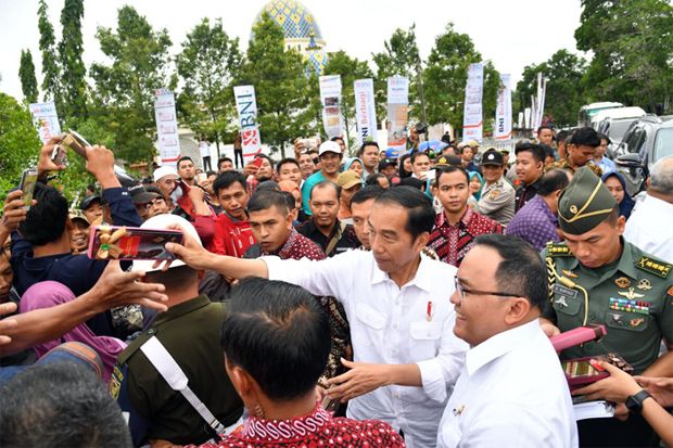 Tanam Sawit di Sumsel,...