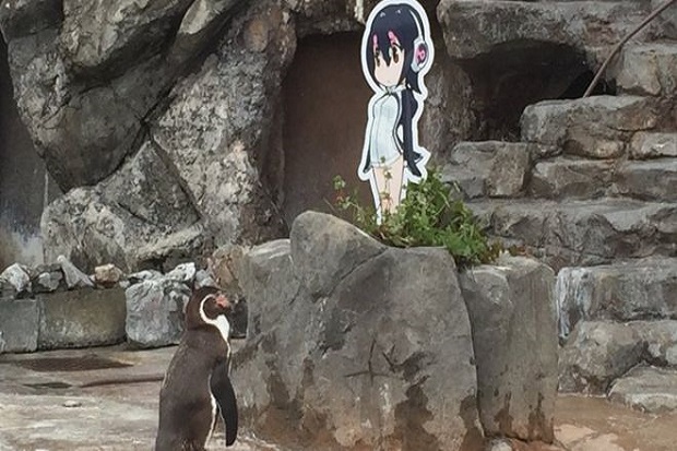 Maut Akhiri Hidup Penguin...
