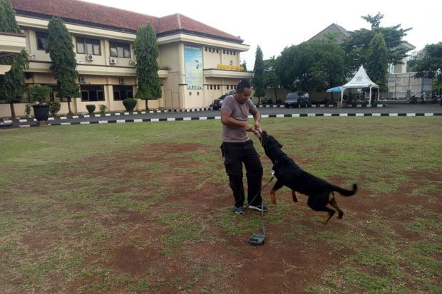 Unit K9 Polres Pekalongan,...