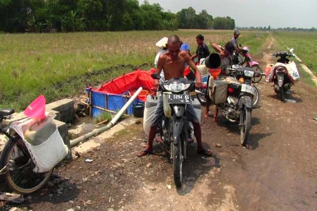 Kekeringan, Puluhan...