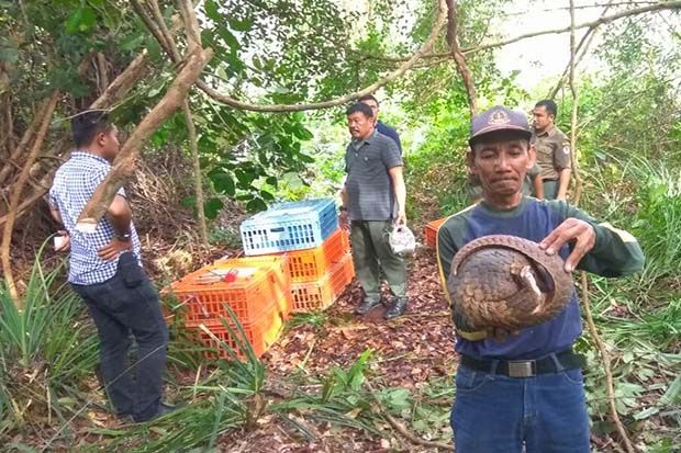 Diselamatkan dari Penyelundupan,...
