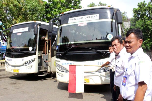 Damri Siapkan 50 Armada...