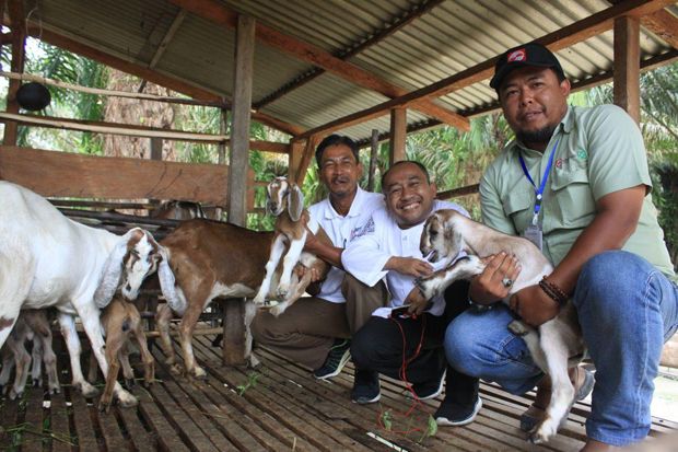 Program DMPA Sinar Mas,...