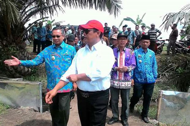 Mentan Panen Raya Padi...