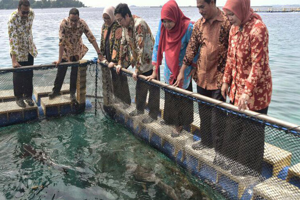 Hadiri HUT Ke-16 Kepulauan...