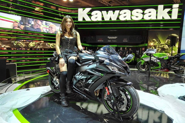 Kawasaki ZZR1400, Keluarga...