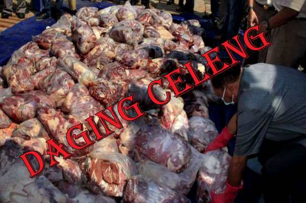 4 Ton Daging Celeng...