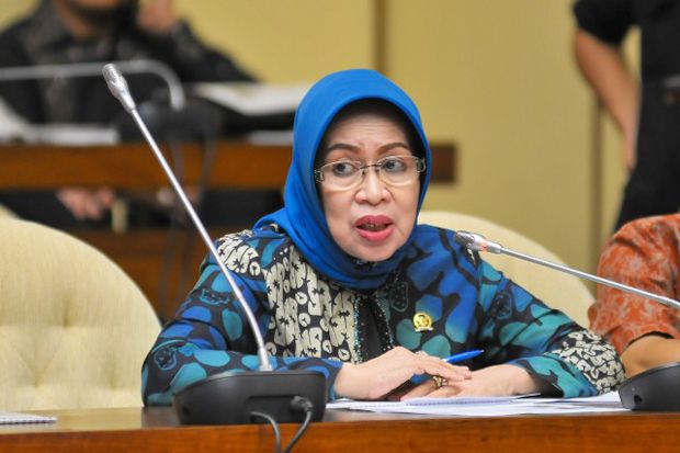 DPR Pastikan Beras Krayan...