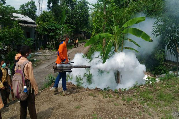 Perangi Nyamuk, Perindo...